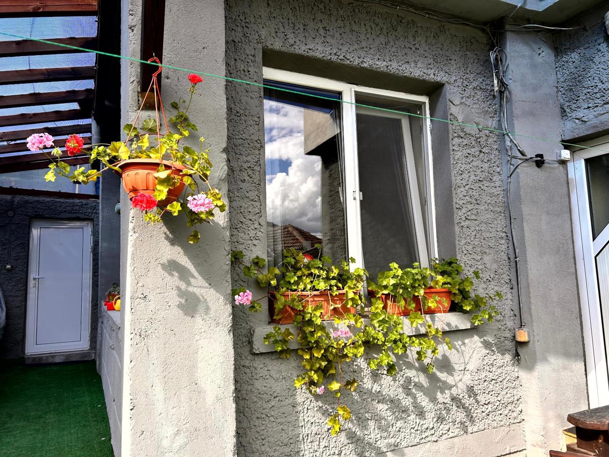 трапезица с безплатен паркинг двор и веранди *
